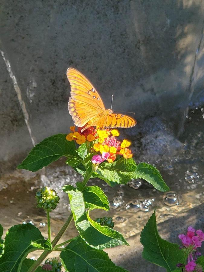 The God Spa Redding Εξωτερικό φωτογραφία